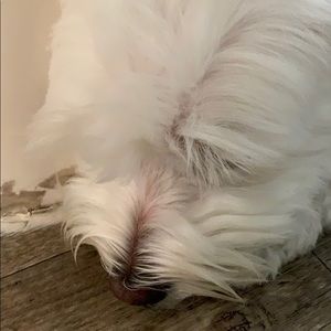 Meet your Posher, Alejandra